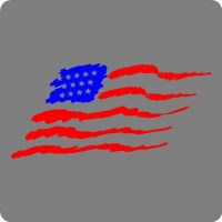 Brush American Flag