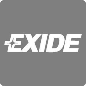 Exide Decal