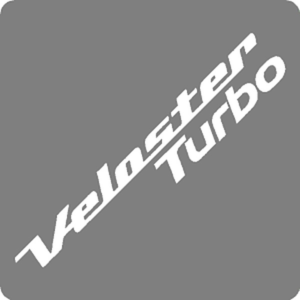 Veloster Decal
