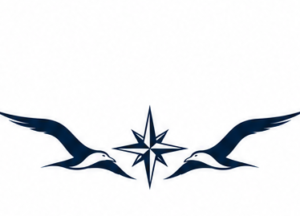 Gulls Compass logo