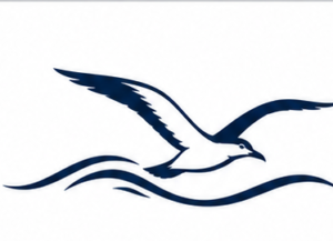 Seagull Wave logo