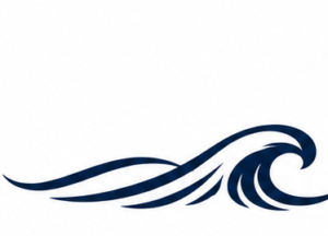 Wave Swash logo