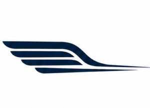 Wing Swoosh logo